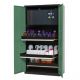 Dulap de depozitare substante chimice multifunctional Systema-Plus-T CS-30 verde